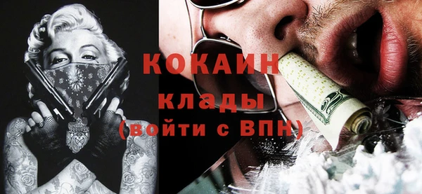 твердый Горняк